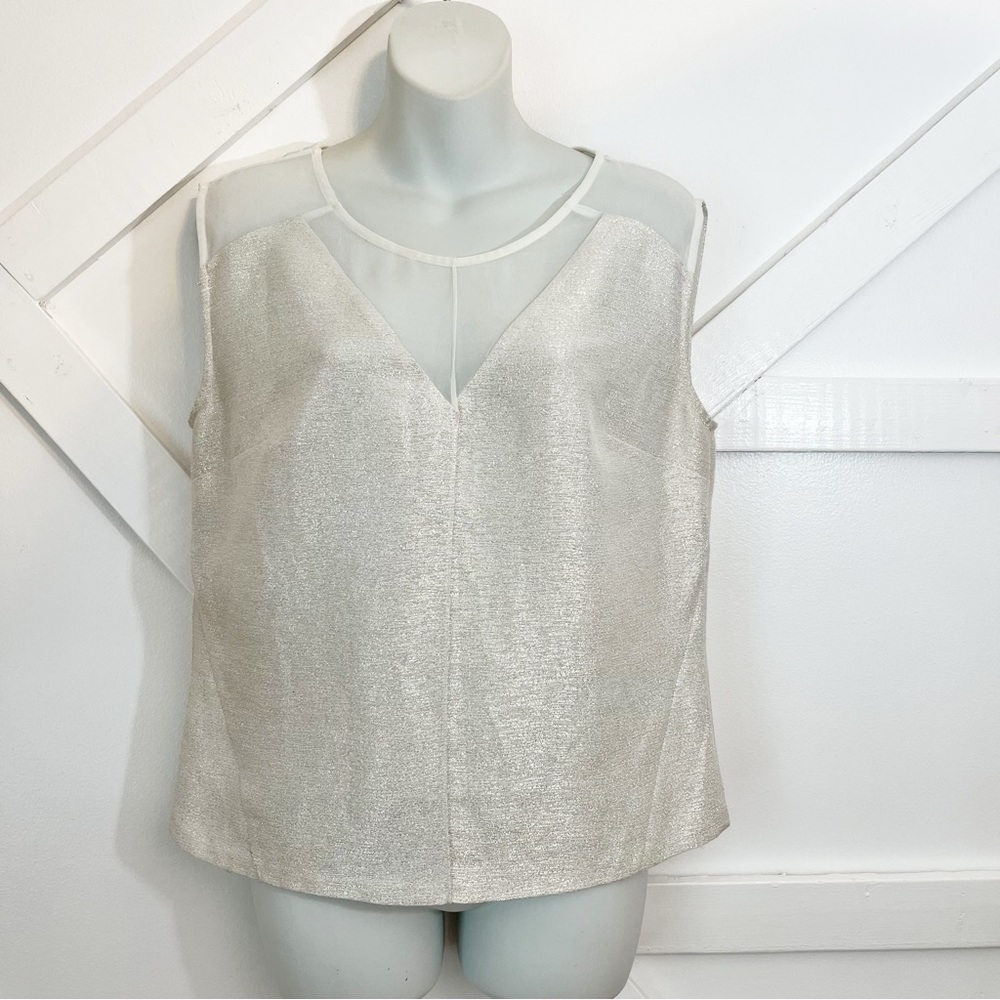 Robert Rodriguez Silver Sheer Panel Blouse